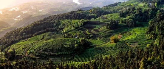 美麗島多焦鏡：這個(gè)明凈新春，以時(shí)間為軸，扶搖直上